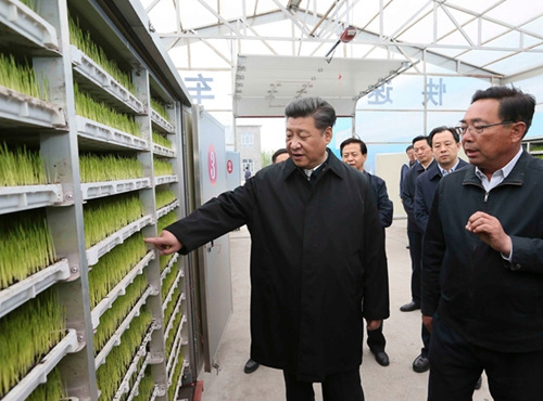 习近平登上黑瞎子岛探望赫哲族群众